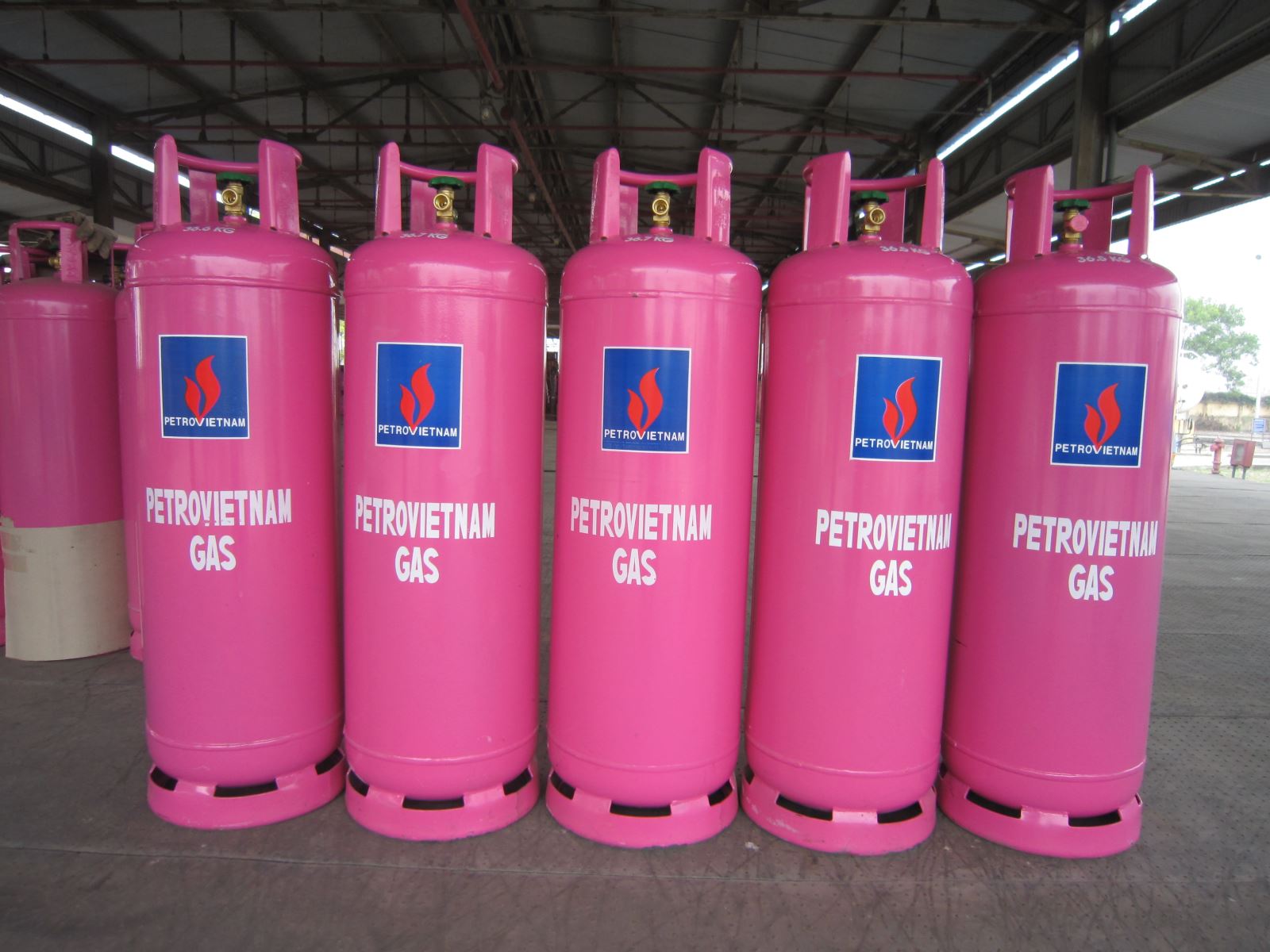 Hình ảnh có liên quan